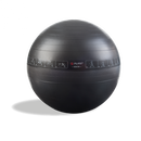 P2I Exercise Ball (65cm) - TrainGolf.nl